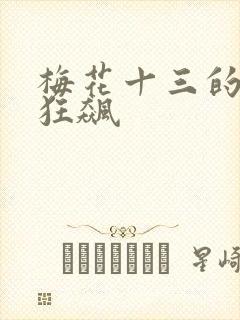 梅花十三的乳液狂飙