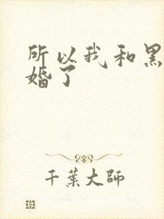 所以我和黑粉结婚了