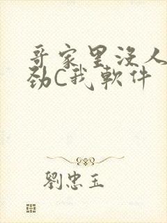 哥家里没人使点劲C我软件