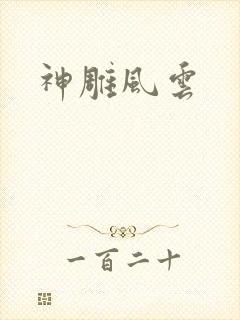神雕风云