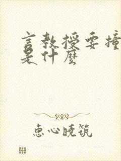 言教授要撞坏了是什么