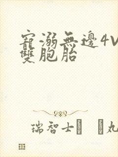 宠溺无边4V2双胞胎