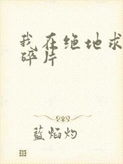 我在绝地求生捡碎片