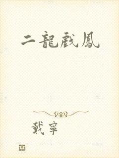 二龙戏凤