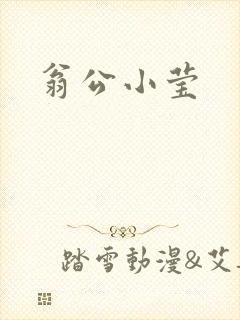 翁公小莹