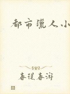 都市猎人小说