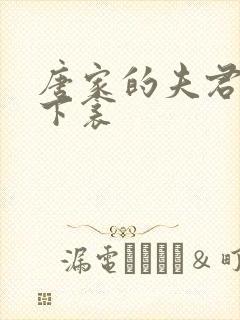 唐家的夫君们帘下衾