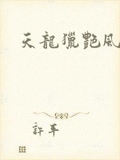 天龙猎艳风流