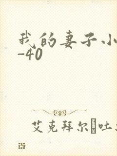 我的妻子小谨1-40