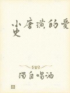 小唐璜的爱情历史