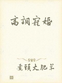 高调宠婚