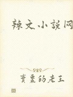 辣文小说网