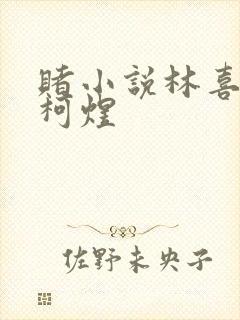 赌小说林喜朝和柯煜