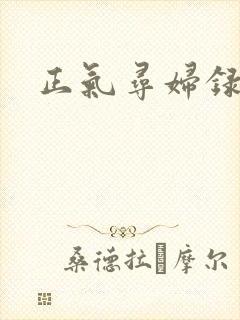 正气寻妇录