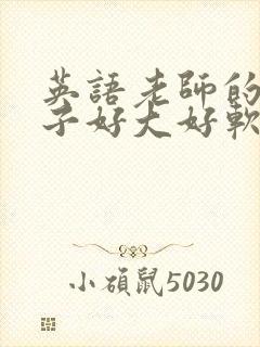 英语老师的小兔子好大好软水