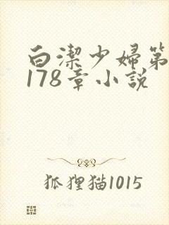 白洁少妇第1一178章小说