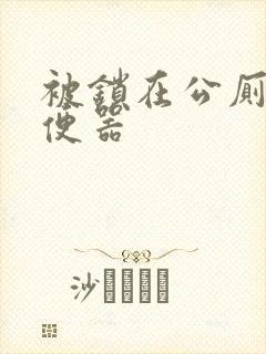 被锁在公厕当坐便器