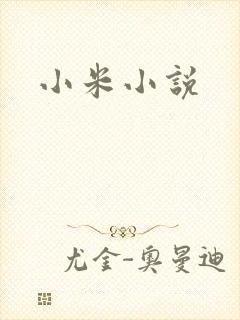 小米小说