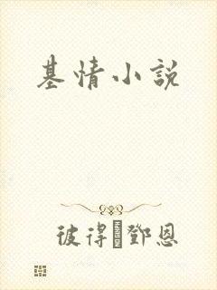 基情小说