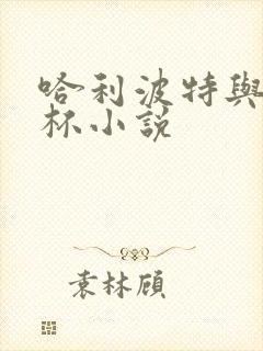 哈利波特与火焰杯小说