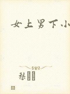 女上男下小说