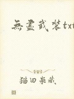无尽武装txt