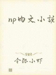 np肉文小说
