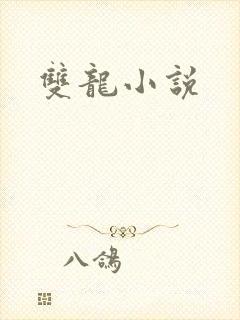 双龙小说