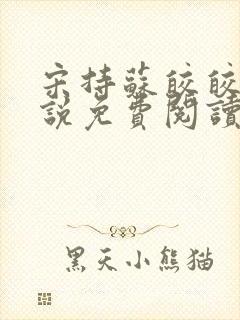 宋持苏皎皎的小说免费阅读