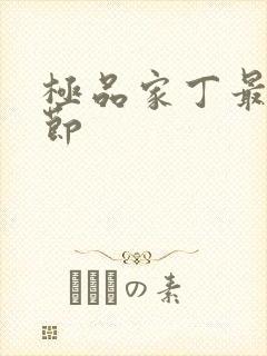 极品家丁最新章节