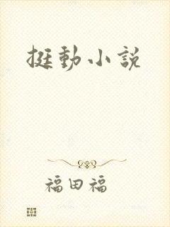 挺动小说