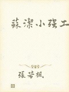 苏洁小强工地情