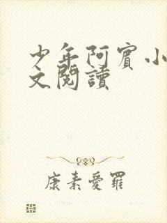 少年阿宾小说全文阅读