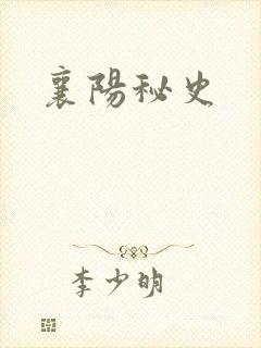 襄阳秘史