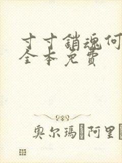 寸寸销魂何生祥全本免费