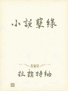 小说孽缘