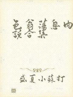 色翁荡息肉欲小说合集