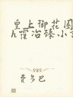 皇上御花园hlh霍冶臻小说