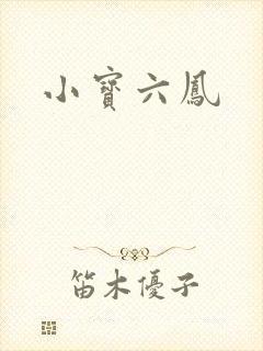 小宝六凤