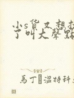 小s货又想挨c了叫大声点