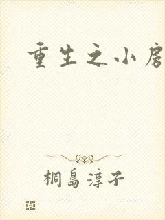 重生之小房东