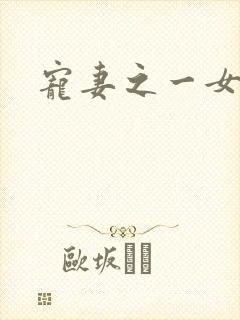 宠妻之一女二夫