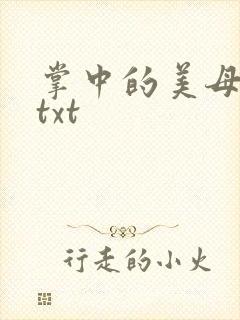 掌中的美母版主txt