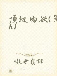 顶级肉欲(军高h)