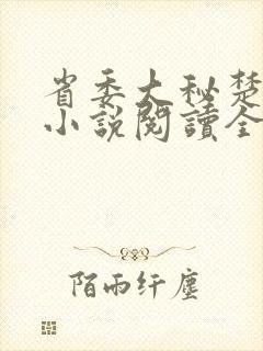 省委大秘楚东恒小说阅读全文