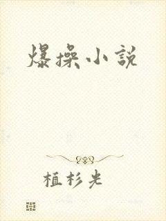 爆操小说