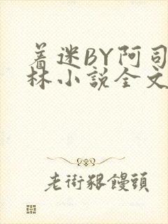 着迷BY阿司匹林小说全文免费阅读