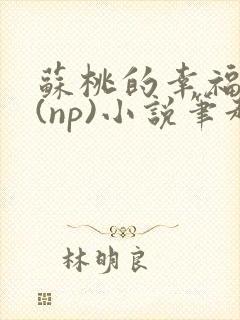 苏桃的幸福生活(np)小说笔趣阁沐沐