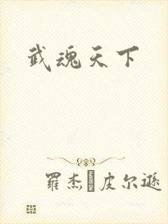 武魂天下