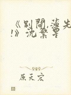 《别闹,薄先生!》沈繁星